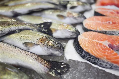 cold water fish to eat|Bad toothache only ice cold water helps .